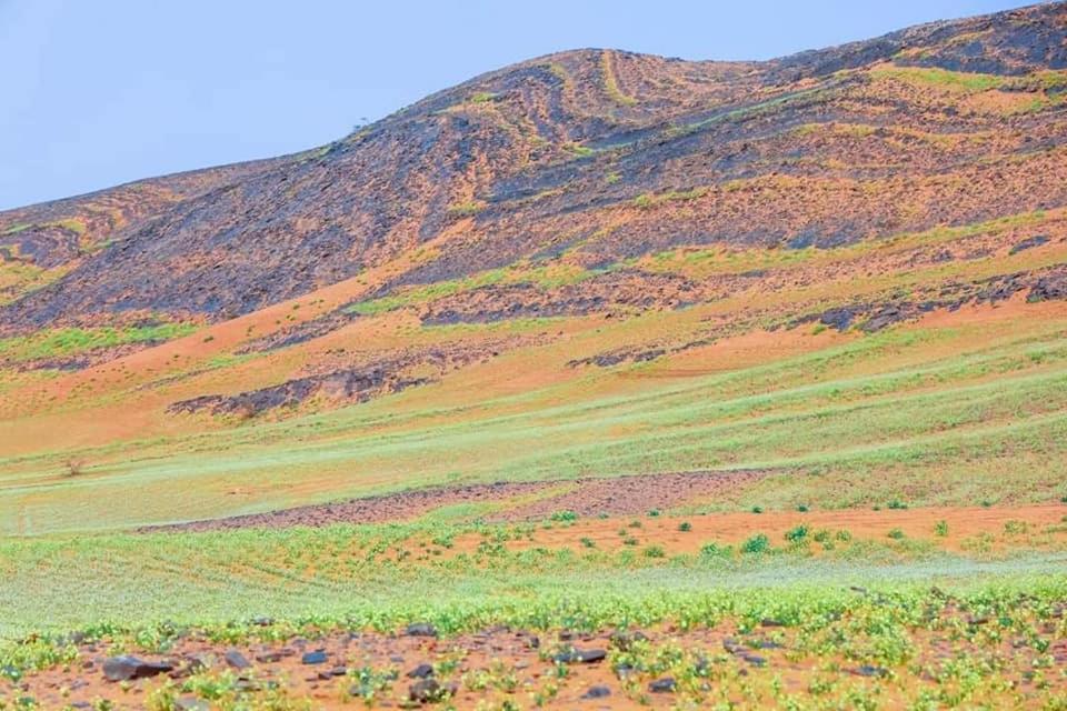 Hotel Auberge Dinosaur Kem Kem Tafraoute Sidi Ali Zewnętrze zdjęcie