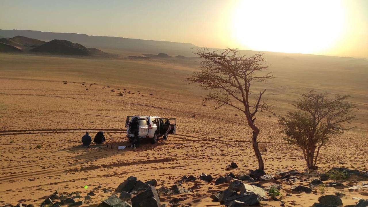 Hotel Auberge Dinosaur Kem Kem Tafraoute Sidi Ali Zewnętrze zdjęcie