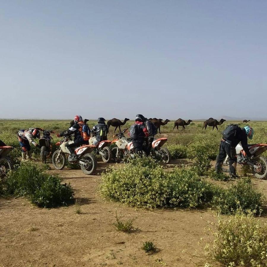 Hotel Auberge Dinosaur Kem Kem Tafraoute Sidi Ali Zewnętrze zdjęcie